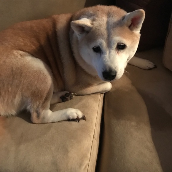 Meet your Posher - Picture 7 of 8